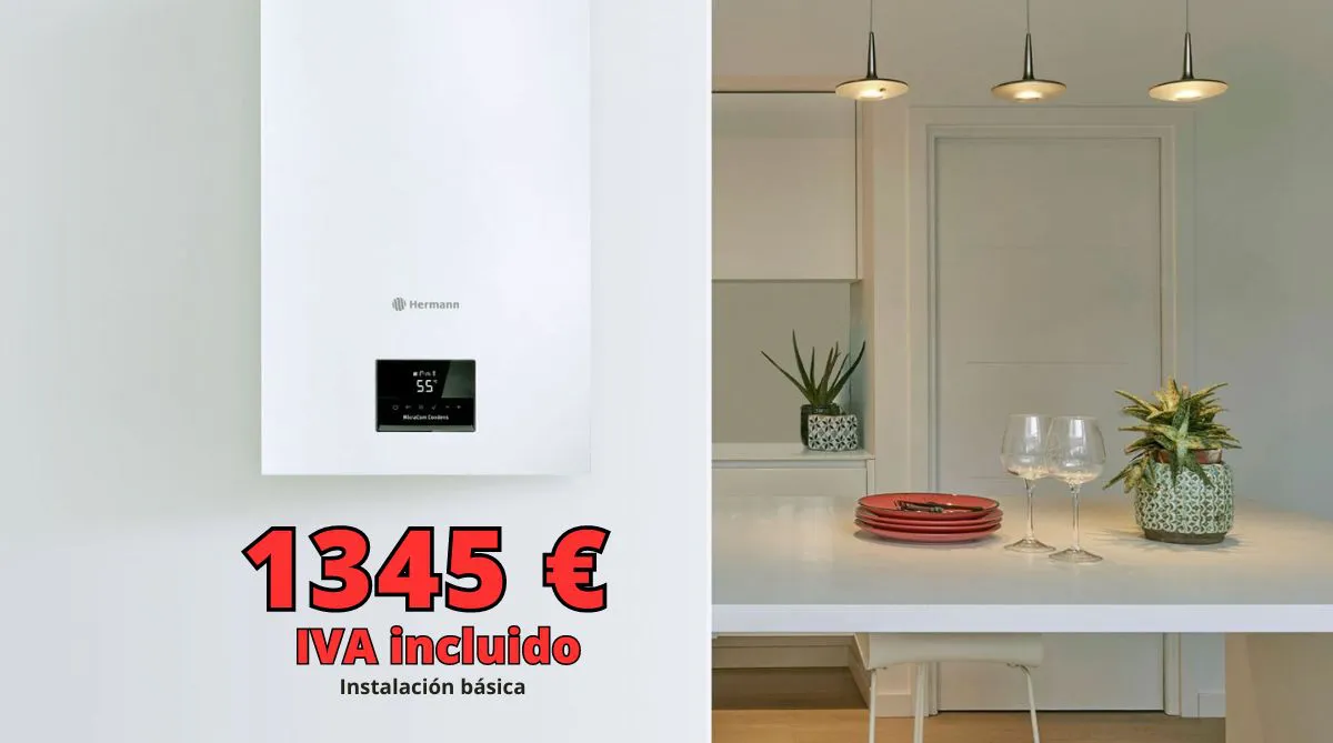 Oferta Caldera Hermann