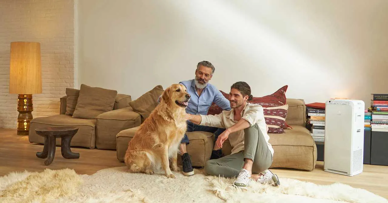 purificador aire daikin