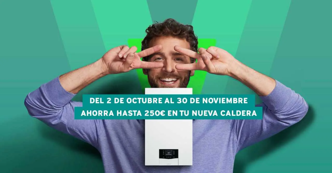 vaillant oferta noviembre