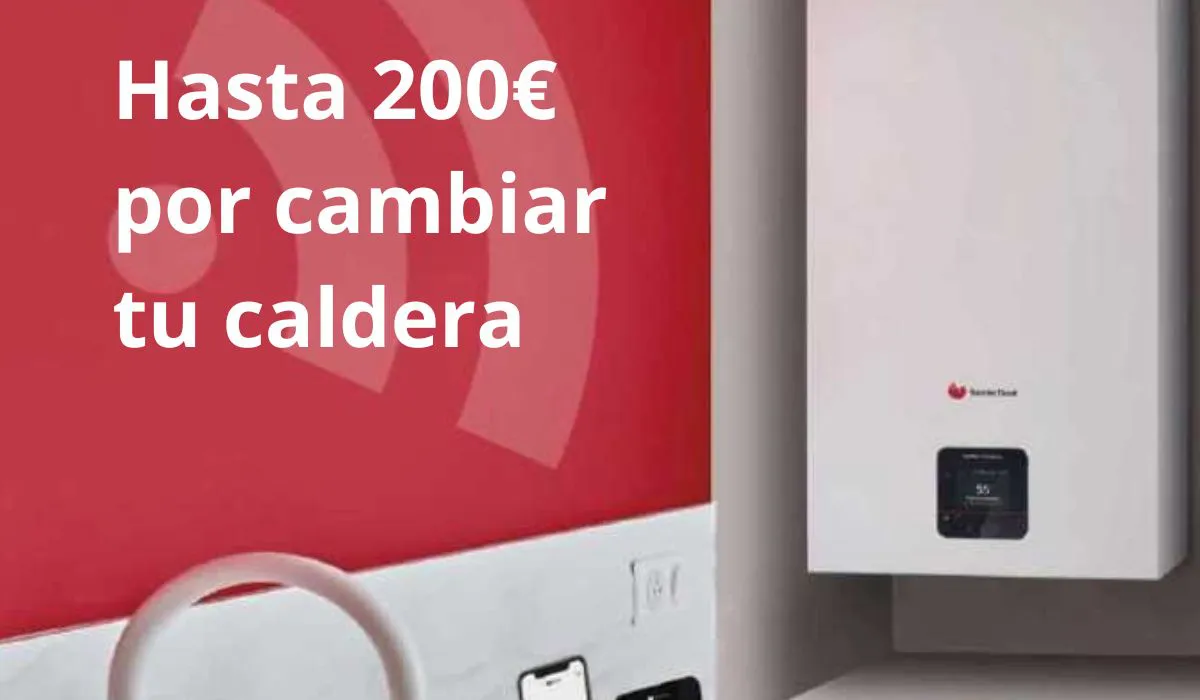 Saunier promo 1200 x 700