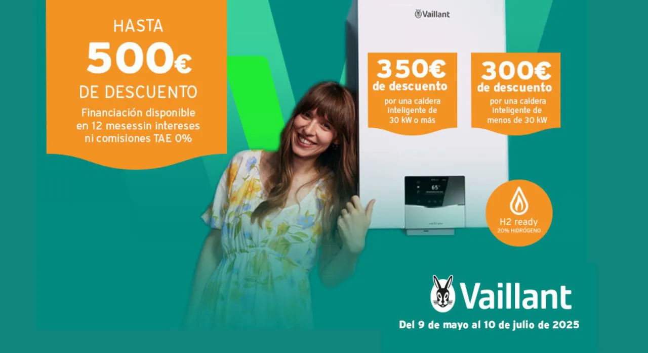 Vaillant 500